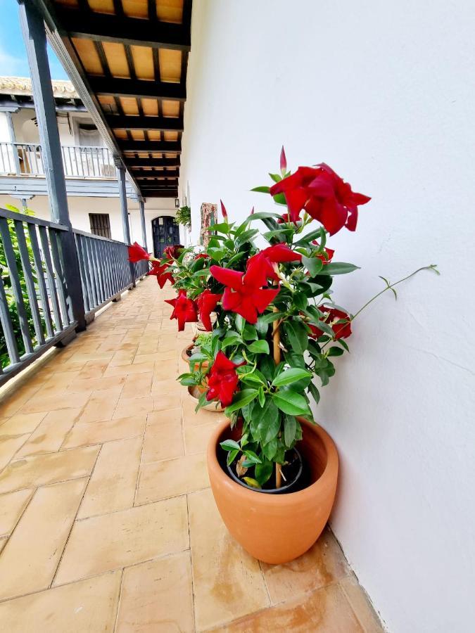 Apartamento Con Patio Sevillano Exterior foto